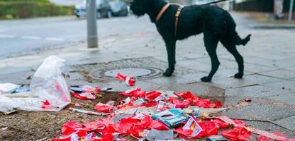 Silvester: Tipps für einen stressfreien Jahreswechsel mit Haustieren