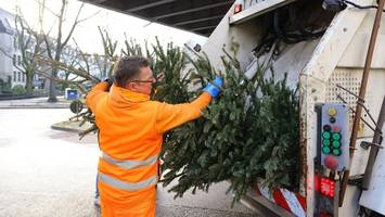 Weg mit dem Weihnachtsbaum! Das sollten Sie über die Abholung wissen