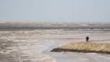 Folgen des Klimawandels: Was, wenn der Meeresspiegel steigt – Rückzug von der Küste?