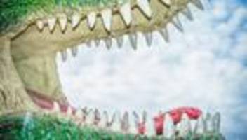 Freizeit von Kindern: Hört auf, eure Kinder zu überspielen!