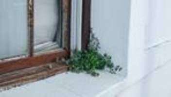 wohnungsleerstand: es ist fast unmöglich, anständige mieter zu finden