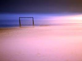 king kong und außerirdische?: und wieder liegen die wahrsager falsch