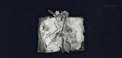 Dresdner Maiaufstand: Mysteriöses Notizbuch einer jungen Baronin in einer Gruft entdeckt