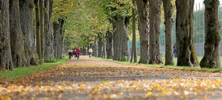 warum augsburg eine gute empfehlung ist, wenn man ins grüne will
