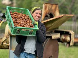 reden wir über geld: „wenn jetzt irgendetwas nicht läuft wie gedacht, sind haus und hof weg“