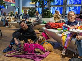 SZ-Kolumne „Bester Dinge“: Nur Mut, 2026!