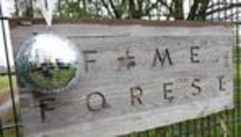 Bäume für jeden Arena-Auftritt: Naturschutz mit Discokugel - Fame Forest wächst