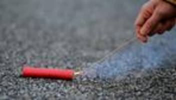 tiere: von böllern verängstigter hund fährt alleine zug