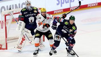 eisbären: gute laune zum fehlstart ins neue jahr