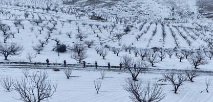 csu und die flüchtlinge: partei will die meisten menschen aus syrien abschieben