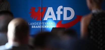 »rechtsextremistischer verdachtsfall«: afd brandenburg nimmt klage gegen verfassungsschutz zurück