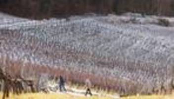 DWD-Prognose: Frostige Nächte und Schneeschauer im Südwesten erwartet