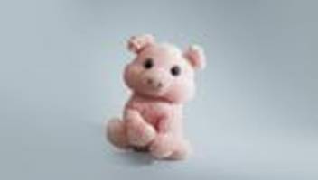 laber-schwein: wer bist denn du?