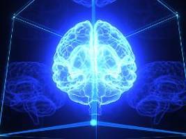 Hungersignal verschwindet nicht: Fettleibigkeit verändert das Gehirn