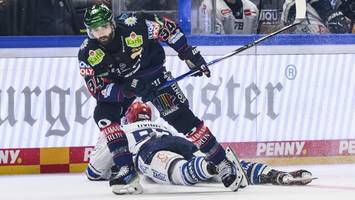 eisbären: die große traurigkeit des torjägers