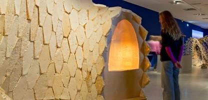 Berlin: Warum diese Frau ein Haus aus Pilzen bauen will