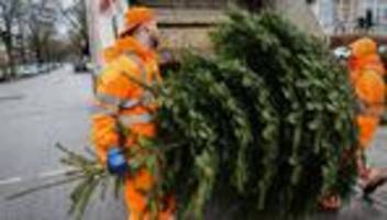 Tannenbäume: Stadtreinigung holt am Montag Weihnachtsbäume in Hamburg ab