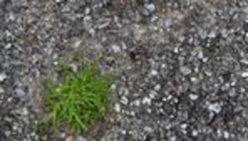 Umweltschutz: Weniger Beton - Thüringen will Böden entsiegeln