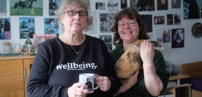 berlin: wie betroffene den stromausfall erleben - »meine beiden kaninchen verstehen gar nichts mehr«