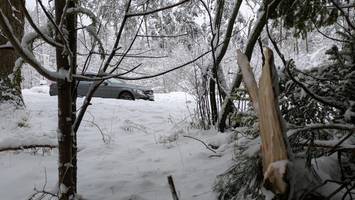 Bäume stürzen unter der Schneelast um: Feuerwehr sperrt Bundesstraße
