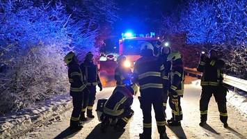 Feuerwehrleute retten Bussard und Waldschnepfe vor dem Tod
