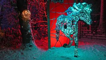 die schönsten fotos: so zauberhaft erstrahlt lumagica im schnee