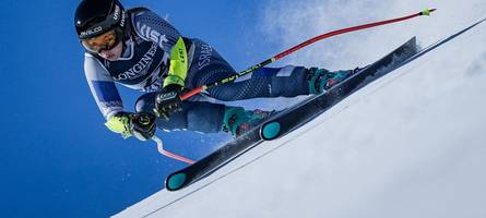 wenn die eltern eine katze ausloben