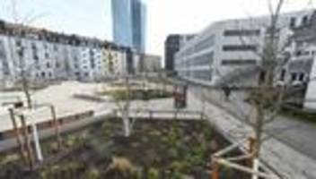 Klimaschutz: Städte packen Maßnahmen gegen Klimawandel an