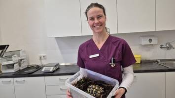 Nach Stromausfall: Hier gibt es Notplätze für exotische Haustiere