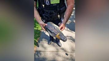 Tierisch lustig: Worüber die Hauptstadt 2025 lachte – und worüber nicht