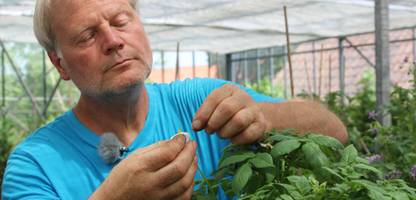 Landwirtschaft: Rekordernte sorgt für niedrige Kartoffelpreise