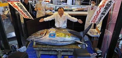 auktion in tokio: sushi-unternehmen bezahlt 2,8 millionen euro für thunfisch