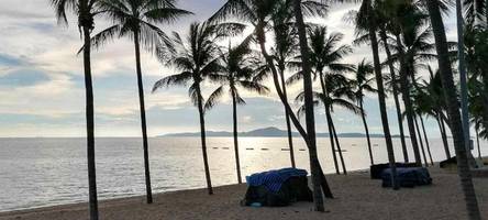 Der schwäbische „König von Pattaya“: Wie ein Betrüger aus Ziemetshausen in Thailand aufflog