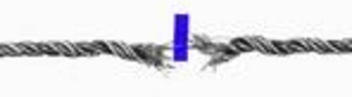 afd: vertrauen heißt kontrollverzicht