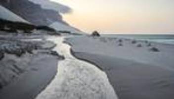 Jemen: Hunderte Touristen stecken auf jemenitischer Insel Sokotra fest