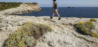 schwarzwald, england, frankreich: sieben neue weitwanderwege, die sie 2026 in angriff nehmen können