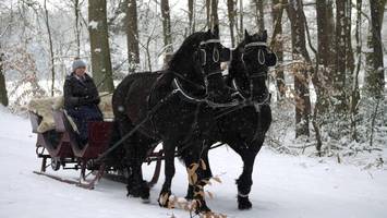 Durch die Lüneburger Heide mit dem Pferdeschlitten – schön wär‘s