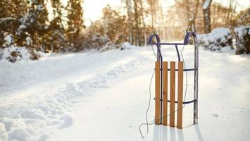 Riesenandrang auf Schlitten: Hier gibt es noch welche zu kaufen