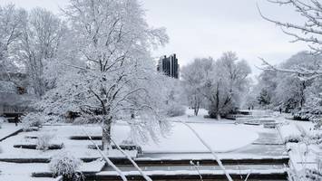 schnee und eis: hamburger sollen parks und wälder meiden – lebensgefahr