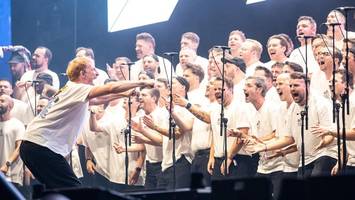 Überraschung: goldkehlchen kündigen gratis-konzert auf helgoland an