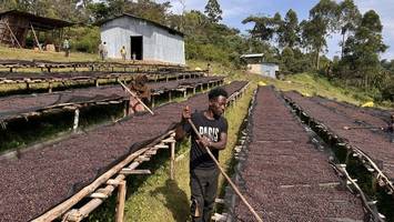 „kaffeepreis wird steigen müssen“: eu-pläne setzen bauern unter druck