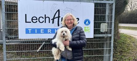 zweite chance für tierheim-hunde: „ich war sofort verliebt“