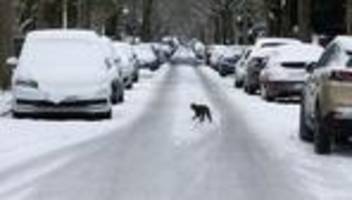 Wetter: Minusgrade und Schneefall – Winterwetter hält weiter an