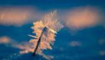 Winter: Wohnungslosenhilfe: Lebensgefahr für Obdachlose durch Kälte