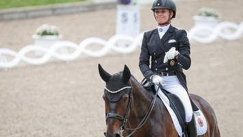 Dressur-Pferd Diallo tot: War das Bornavirus am Drama schuld?