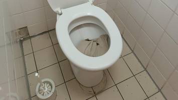 Heinrich-Seidel-Grundschule: Lehrerin schlägt Alarm – „Exkremente an der Wand“