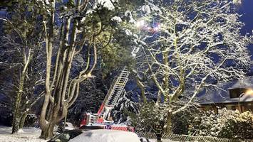 schnee lässt Äste brechen: was tun, wenn bäume zur gefahr werden?