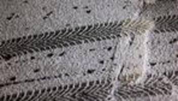 Einsatz in Brühl: Schneeball auf fahrendes Auto geworfen - Scheibe zerbricht