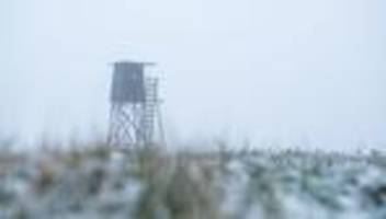 Frau schwer verletzt: Jäger schießt auf Spaziergängerin