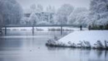 Tiere: Eisschicht zu dünn: Feuerwehr rettet Hund aus See in Bremen